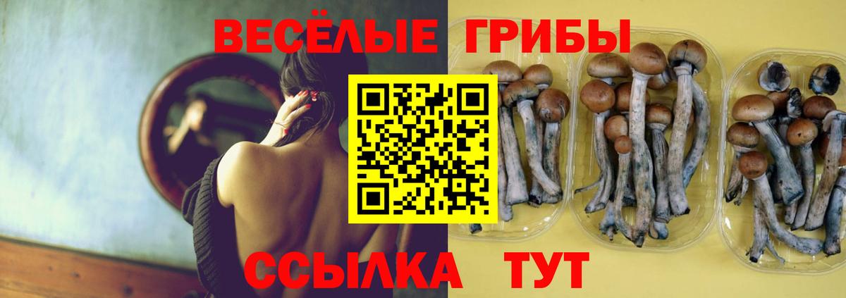 Галлюциногенные грибы Psilocybine cubensis Рыбинск