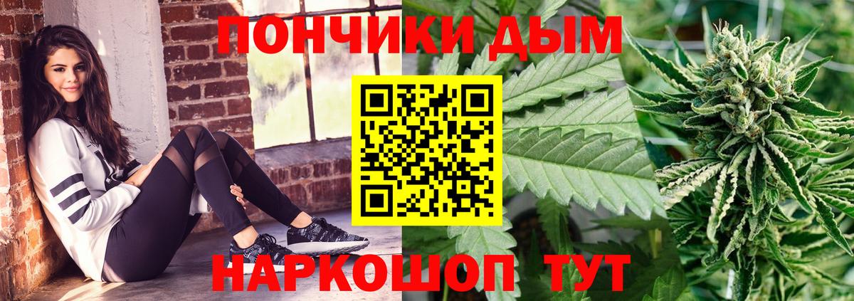 Бошки Шишки сатива Рыбинск
